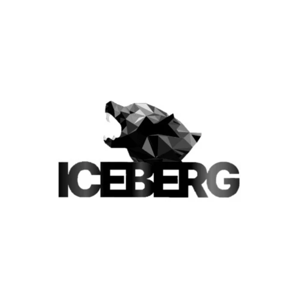 ICEBERG